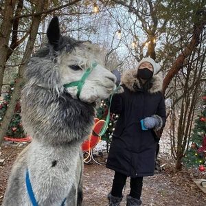 Meet your Posher, Lisa